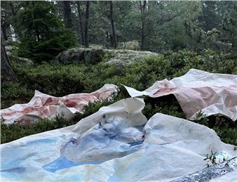 Anna Blom: Transference - Gallery 46