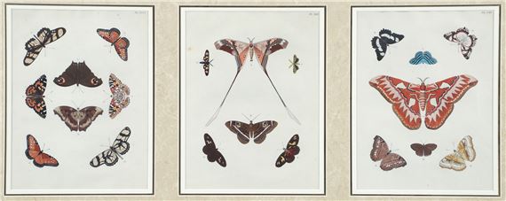 3 plates from De Uitlandsche Kapellen in a single frame - Pieter Cramer