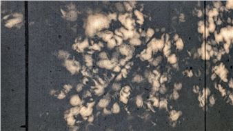 Youree Kim & Alex Kostiw: There Between Light and Shadow - Chicago Artists Coalition Gallery