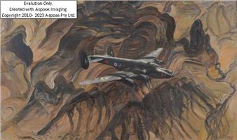 An Avro-Shackleton bomber in flight - Pamela Drew