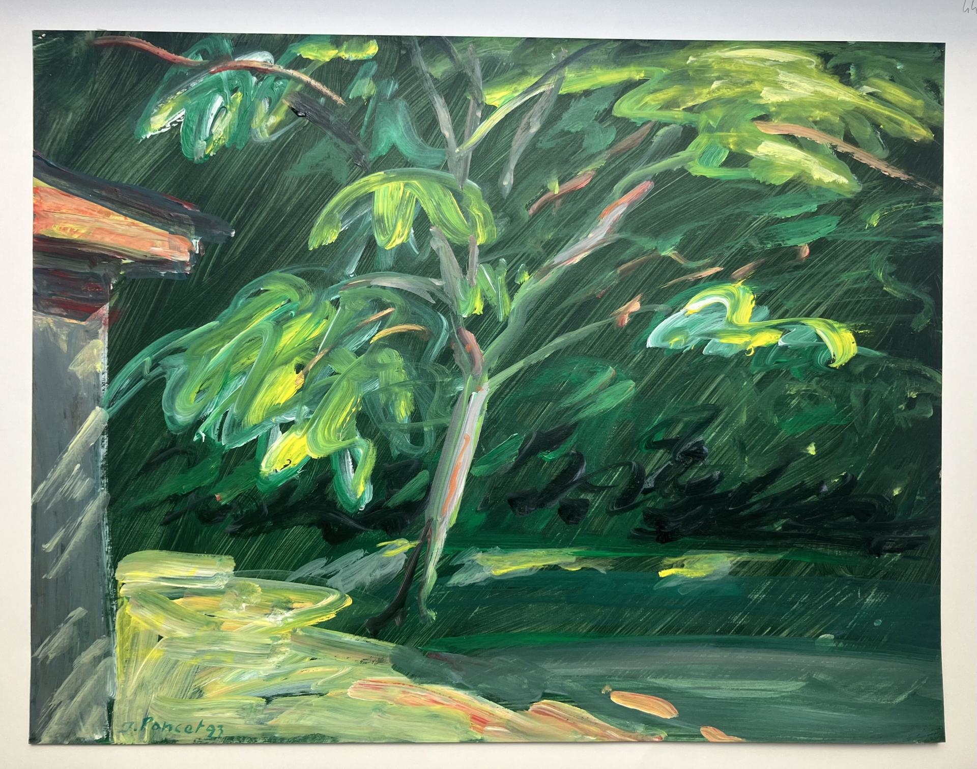 Artwork by Jacques Poncet, Le petit arbre derrière la maison, Made of Acrylique sur papier Canson