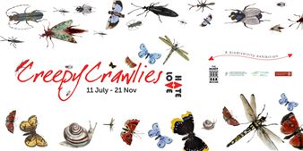 Creepy Crawlies: Love/Hate - The Hunt Museum