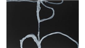 Sydney Contemporary | D’Lan Contemporary | Paddy Bedford