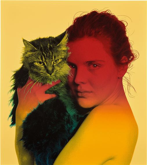 Golden Gaze by Jenny Morgan, 2017