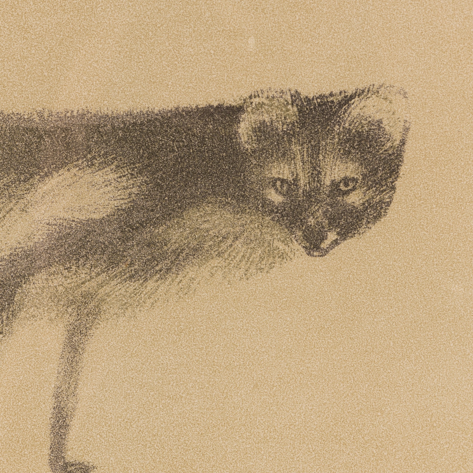 Artwork by Ulla Foss, Fox, Made of lithograph