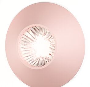 Horton Hears a Hoo Hoo by Blair Thurman, 2014