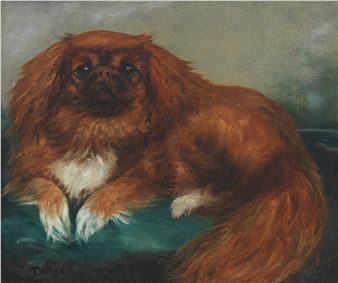 Tokie' - Pekingese - Elizabeth Marion Nelson