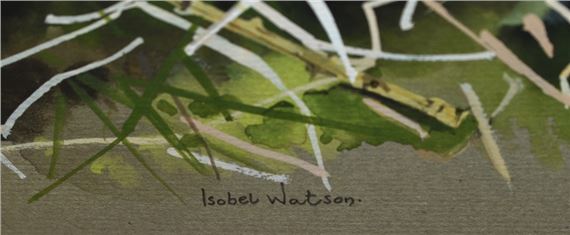 Isobel Watson | A botanical illustration depicting | MutualArt