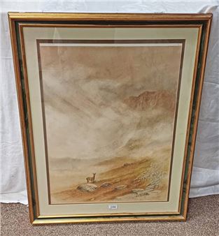 roebuck - cairngorms - Bill Jackson