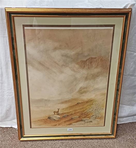 roebuck - cairngorms - Bill Jackson