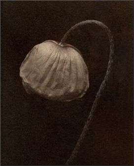 Michelle Smith-Lewis: Be Well - Core Gallery