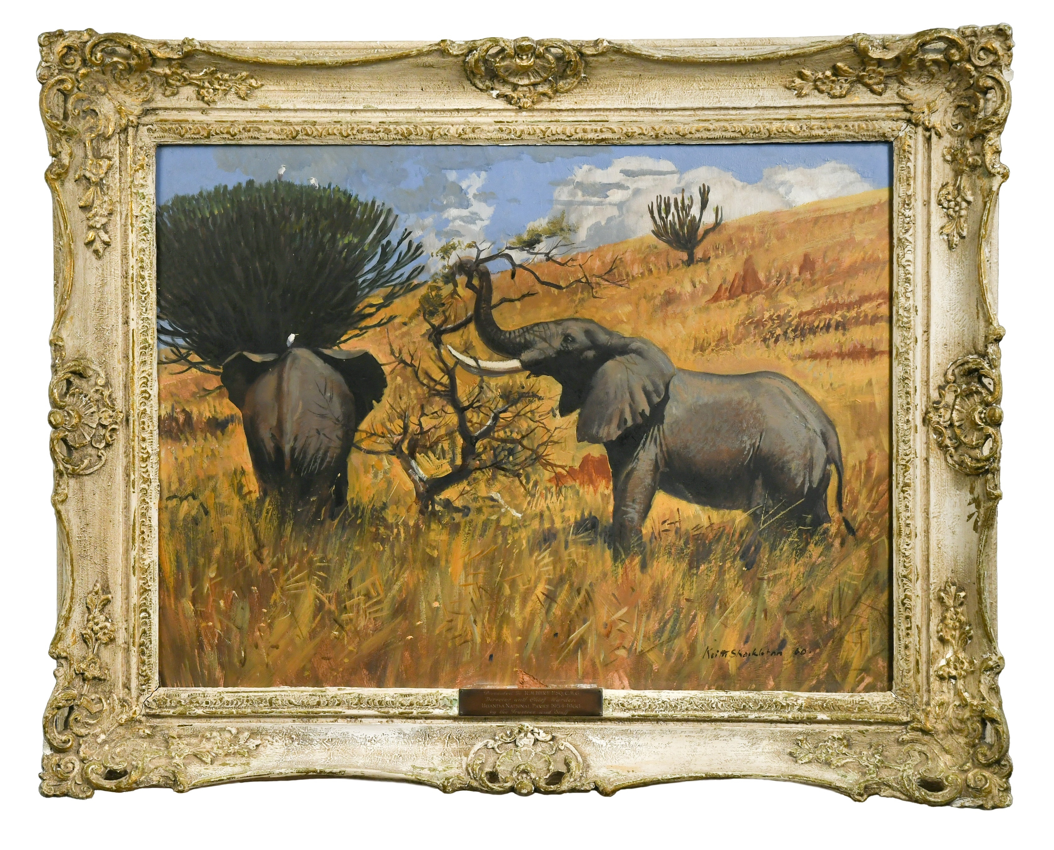 Keith Shackleton | African Elephants | MutualArt