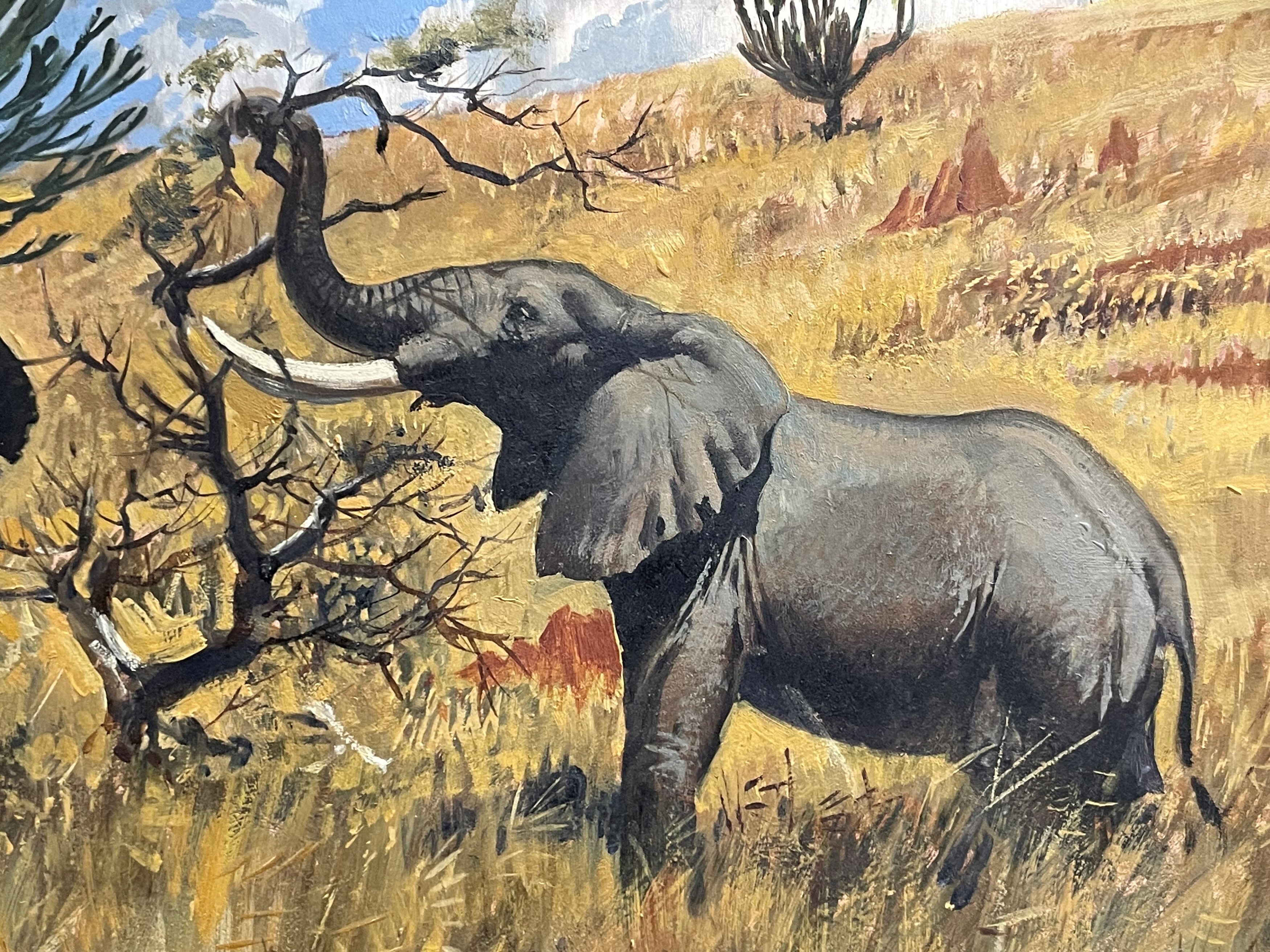 Keith Shackleton | African Elephants | MutualArt