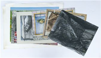 8pc Fred Wessel Various Fish Lithographs Etc. Loose, unframed - Fred Wessel