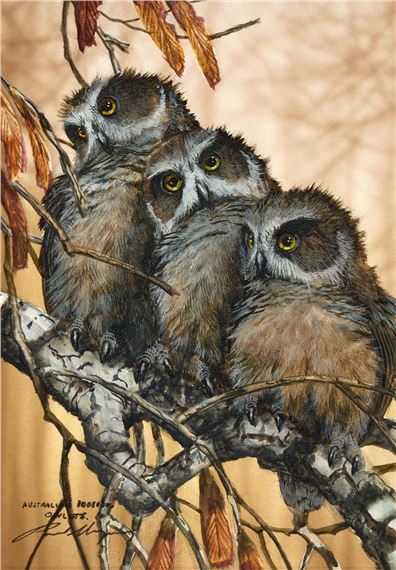 Paul Margocsy | Australian Owlets | MutualArt