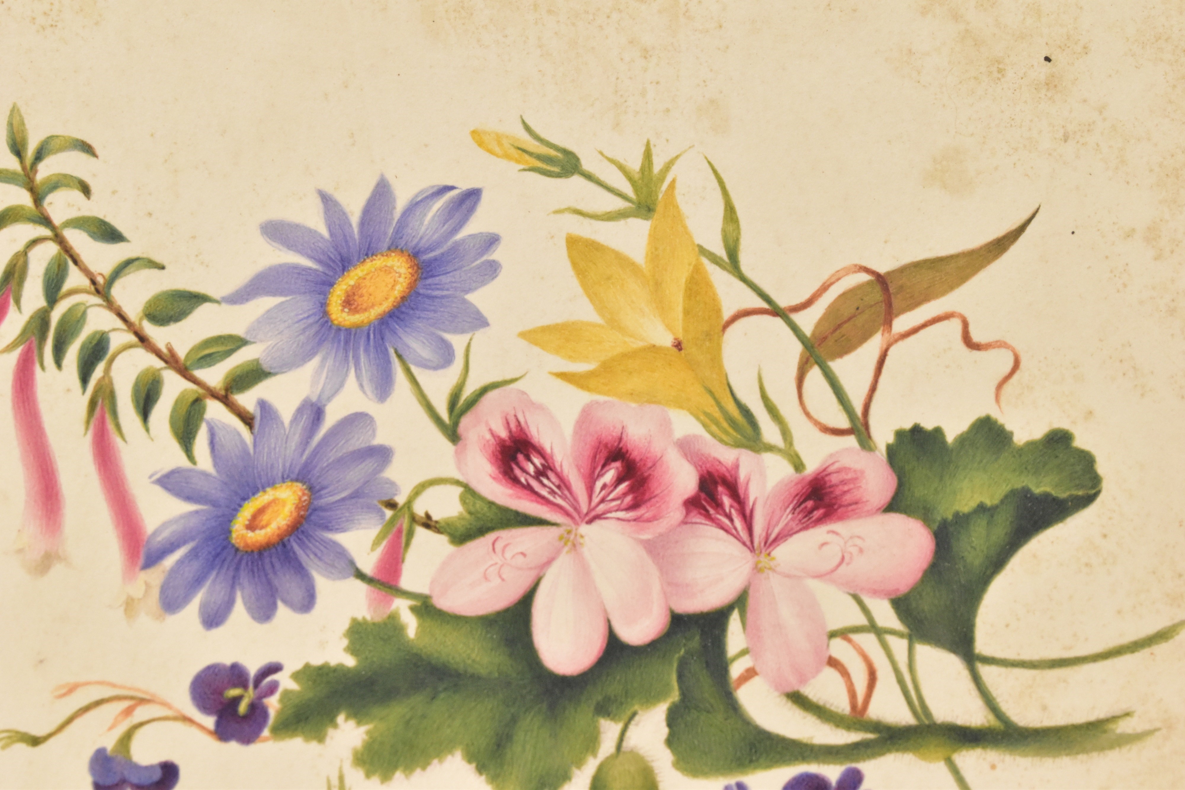Edward Lear | ATTRIBUTED TO EDWARD LEAR (1812-1888); two incredibly ...