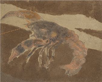 Langosta - Francisco Lezcano