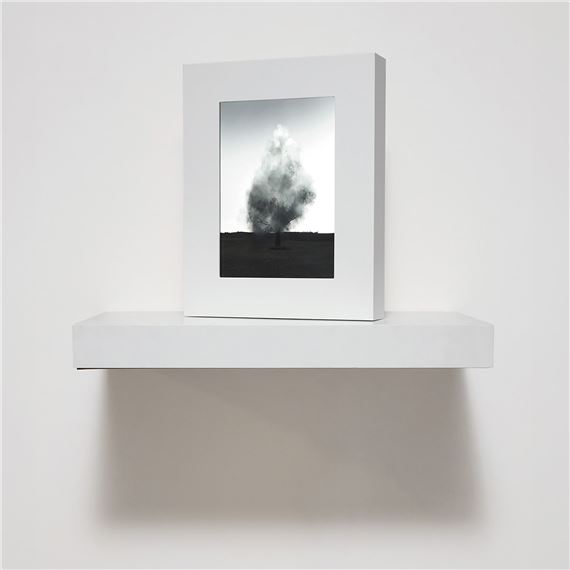 Smoke Tree IV by John Gerrard, Executed in 2006