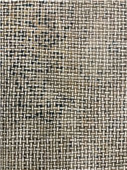 Jamisen Ogg: linear - Planthouse