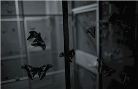 Giorgio Andreotta Calò's First Solo Exhibition at Annet Gelink Gallery Will Open in Amsterdam