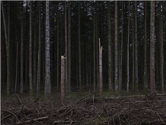 Trine Søndergaard: Season of Undefined - Martin Asbaek Gallery