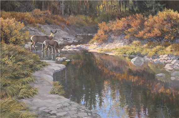 Ravine Shadows - Isabel Levesque