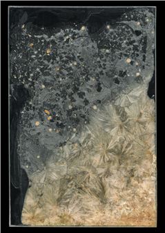 DM Witman: Ecologies of Restoration - Danforth Museum of Art