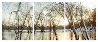 Suzanne Revy: A Murmur in the Trees - Danforth Museum of Art