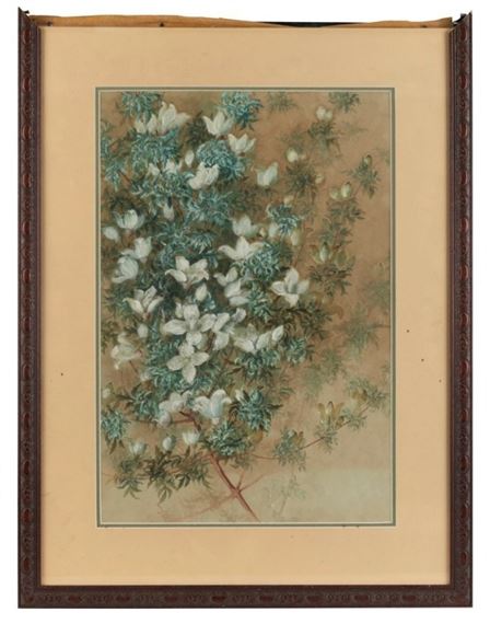 Untitled white blossoms by Marian Ellis Rowan