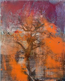 Vanishings - Eagle Gallery