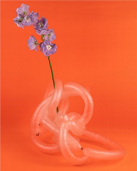 Les membranes (boyaux) - Michelle Bui