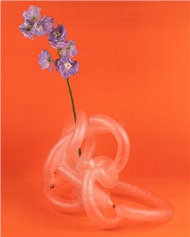 Les membranes (boyaux) - Michelle Bui