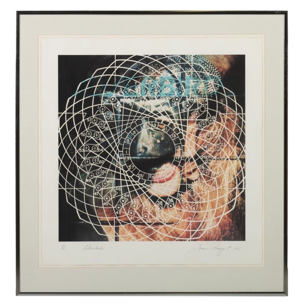 James Rosenquist | Silverbirds (1981) | MutualArt