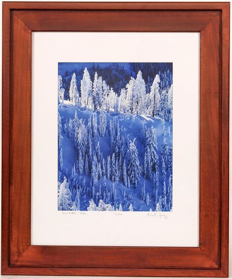 Photograph of Snow Ladder Trees Lake Tahoe by Keoki Flagg - Framed - Keoki Flagg