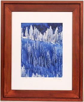 Photograph of Snow Ladder Trees Lake Tahoe by Keoki Flagg - Framed - Keoki Flagg