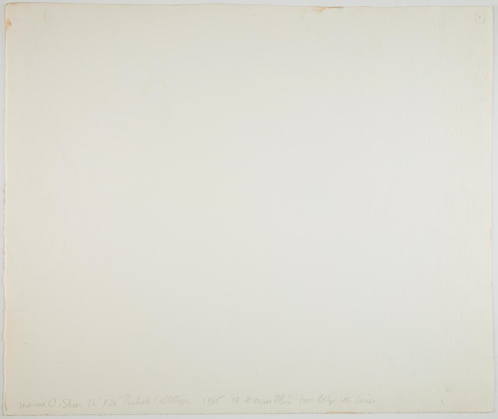 Artwork by Marcia C. Sheer, Marcia Sheer, Made of graphite