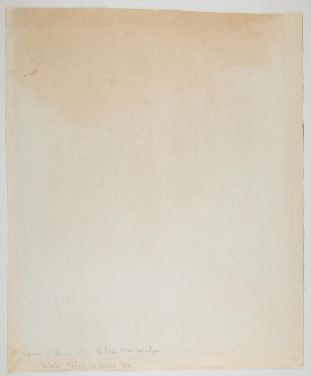 Artwork by Marcia C. Sheer, Marcia Sheer, Made of graphite