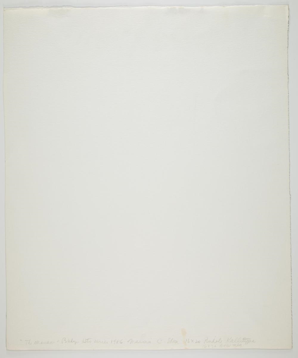 Artwork by Marcia C. Sheer, Marcia Sheer, Made of graphite