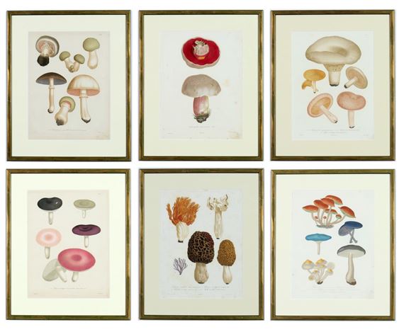 mushrooms by Joseph Roques, 1864