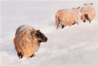 Sheep at Naccolt - Paul Hedley