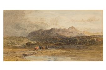Catle in mountainous landscape - Walter Field