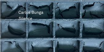 Carlos Bunga: Silence - Vera Cortês