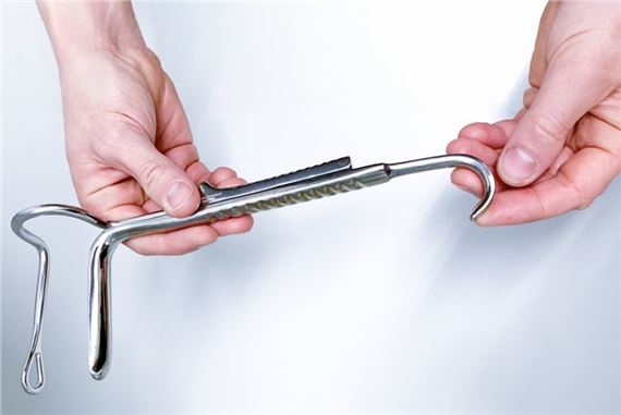 The New Subject: Mutating Rights And Conditons Of Living Bodies - KINDL –  Centre for Contemporary Art