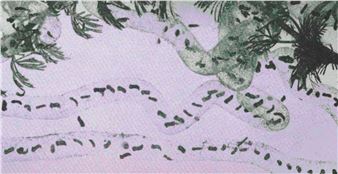 Michelle Chang Qin: Fish Tale Tally - P/////AKT (Groenhoedenveem)