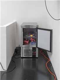 Julia Scher at DREI