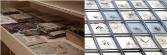 Hiroko Masuko & Keiko Miyamori: Cultivating Time: The Practice of Two Artists - Gallery MoMo Ryogoku