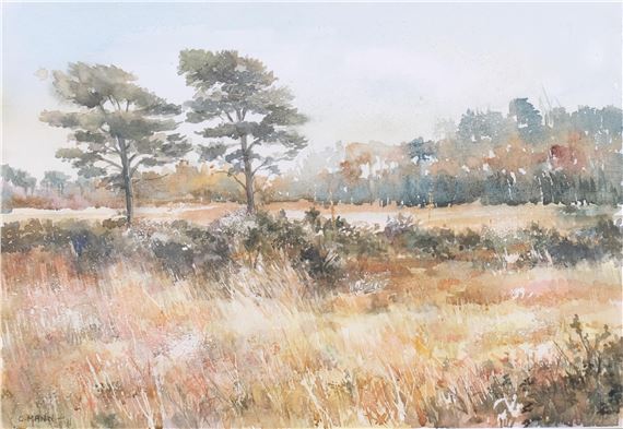 wooded landscape - C. Mann