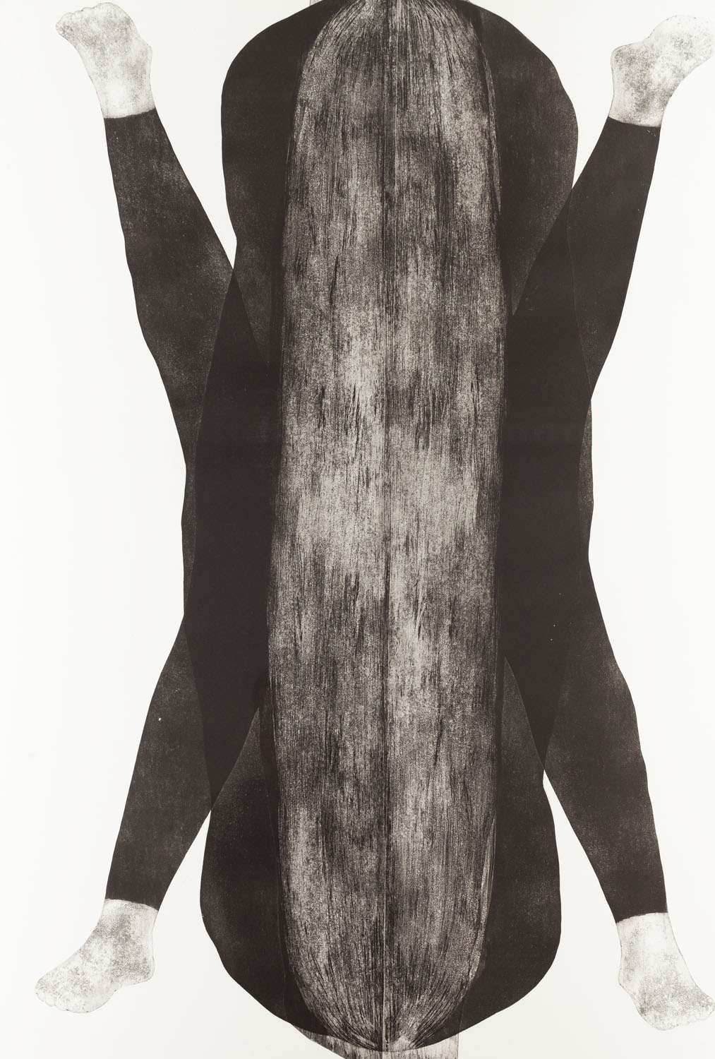 Artwork by Agnieszka Roznowska, Repetitions IV, Made of intaglio
