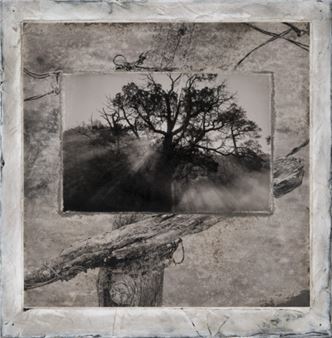 Looking at the Land - Etherton Gallery