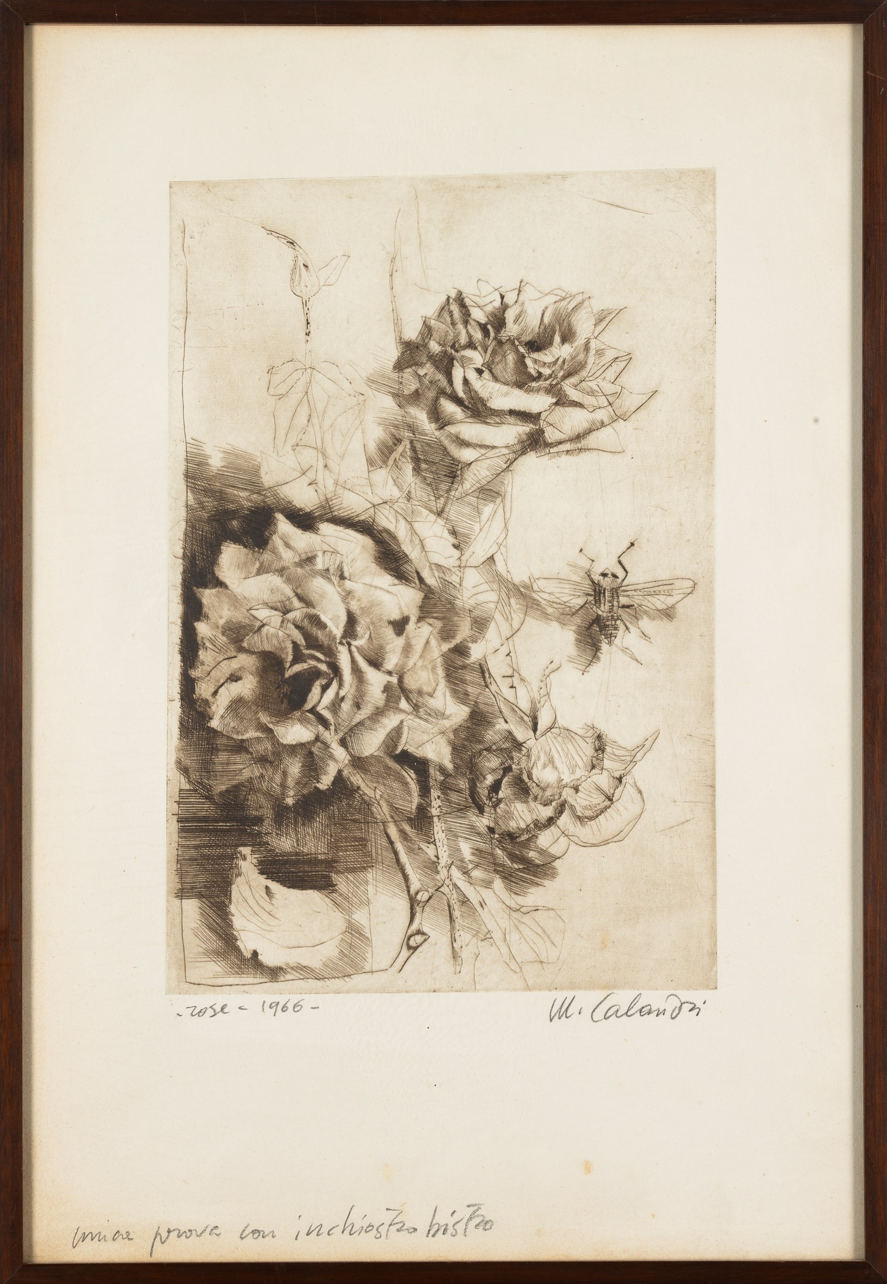 Mario Calandri | Rose, 1966 (1966) | MutualArt